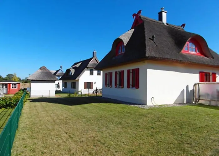 Marlene Comfortable * גלווה