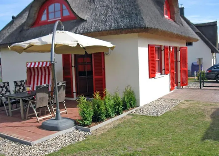 Marlene Comfortable * גלווה